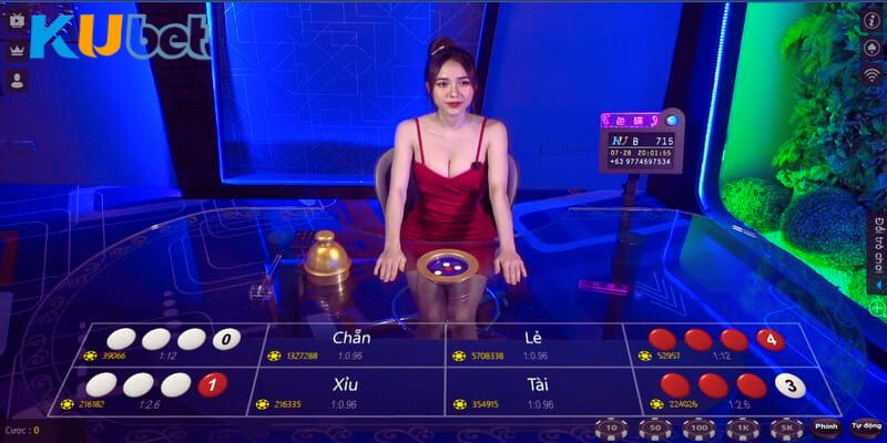 Vài điều giới thiệu chung về trò chơi tài xỉu Kubet