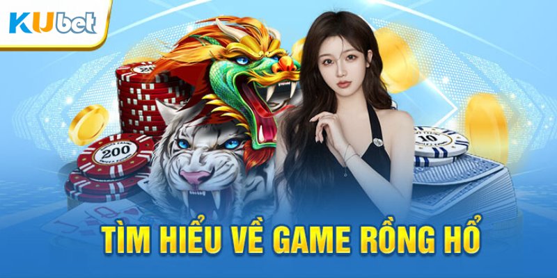 Đôi nét về Rồng Hổ Kubet cho tân thủ 